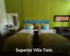 Superior villa twin