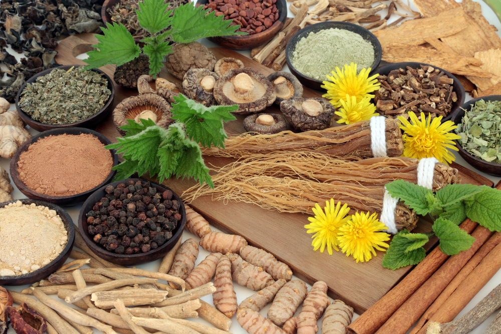 adaptogens for stress management