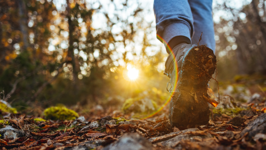 emotional healing through nature